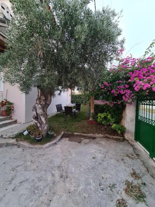 Semelia'S Guest House Spáta Exterior foto